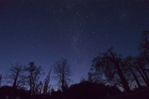 4233-night-sky-at-25-degree