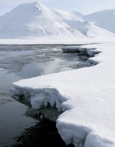 arctic_snow