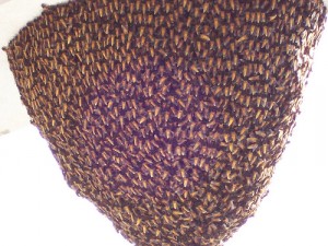 bee-hive-honey-wacky5