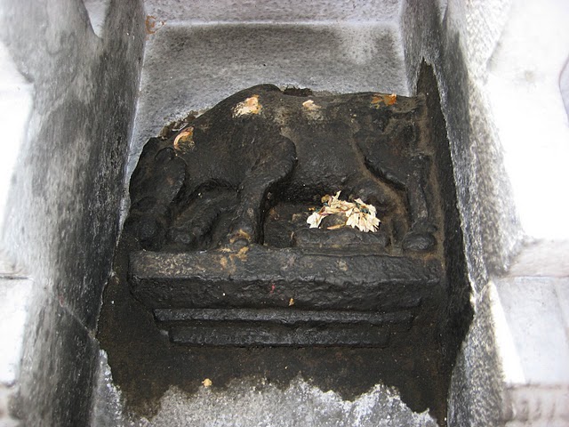 cow-milking-to-lord-siva