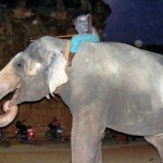 நகரம் நானூறு – 8