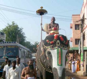 elephant-with-namam