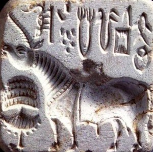 indus_one_horn_animal_seal