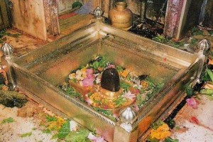 kasi_vishwanath
