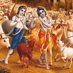 krishna-leela9