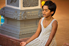 kutty-medi